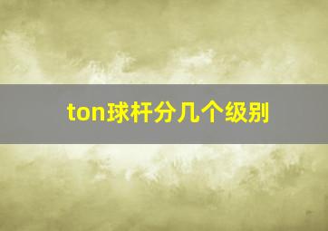 ton球杆分几个级别