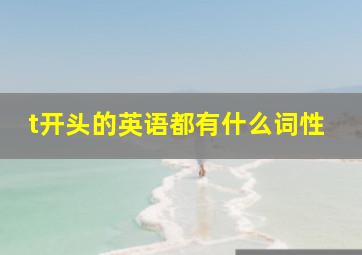 t开头的英语都有什么词性