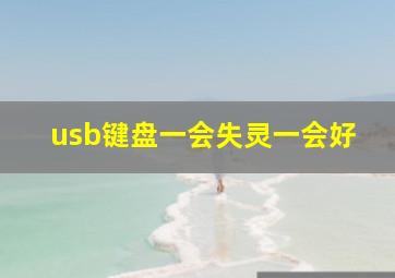 usb键盘一会失灵一会好