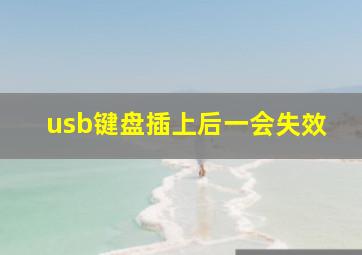 usb键盘插上后一会失效