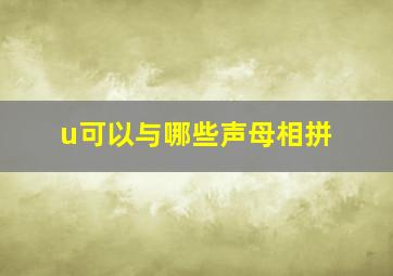 u可以与哪些声母相拼