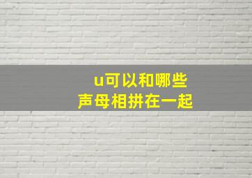 u可以和哪些声母相拼在一起