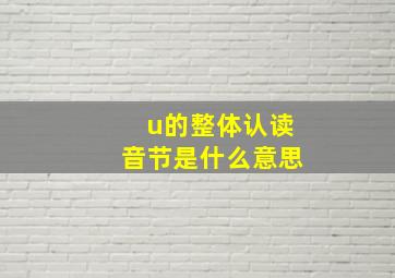 u的整体认读音节是什么意思