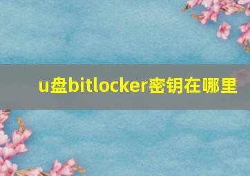 u盘bitlocker密钥在哪里