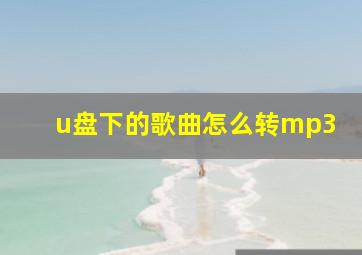 u盘下的歌曲怎么转mp3