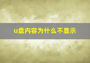 u盘内容为什么不显示