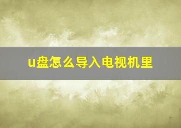 u盘怎么导入电视机里