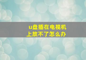 u盘插在电视机上放不了怎么办