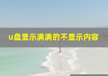 u盘显示满满的不显示内容