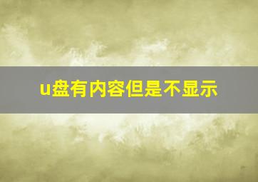 u盘有内容但是不显示