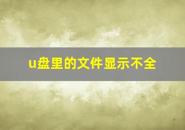 u盘里的文件显示不全