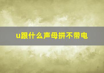 u跟什么声母拼不带电