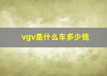 vgv是什么车多少钱