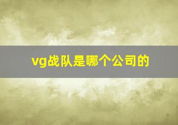 vg战队是哪个公司的