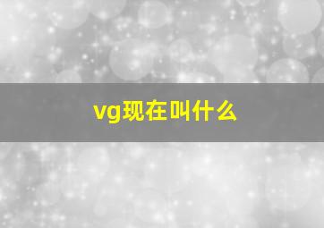 vg现在叫什么