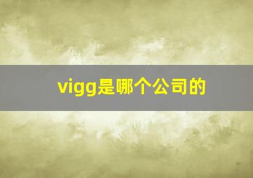 vigg是哪个公司的