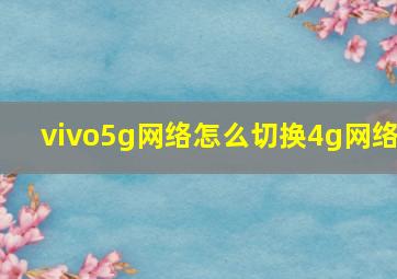 vivo5g网络怎么切换4g网络