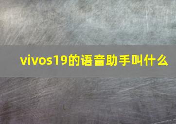 vivos19的语音助手叫什么