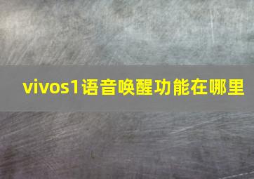 vivos1语音唤醒功能在哪里