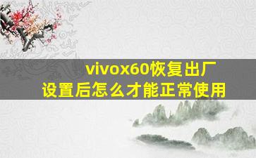 vivox60恢复出厂设置后怎么才能正常使用