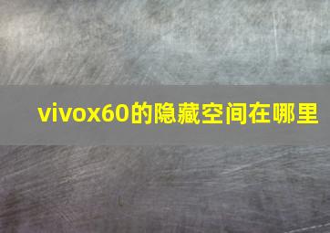 vivox60的隐藏空间在哪里