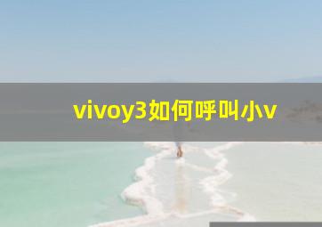 vivoy3如何呼叫小v