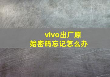 vivo出厂原始密码忘记怎么办