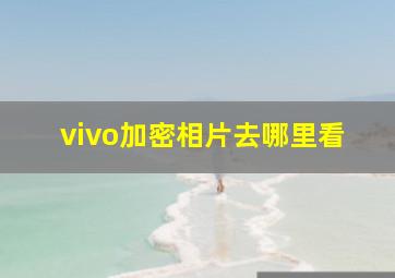 vivo加密相片去哪里看