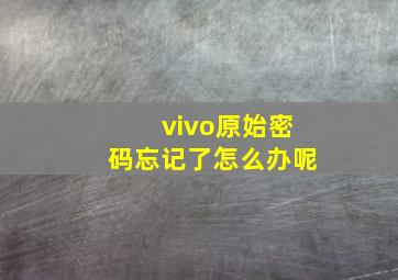 vivo原始密码忘记了怎么办呢