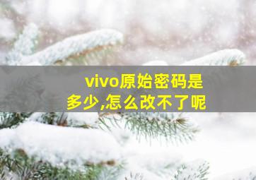 vivo原始密码是多少,怎么改不了呢