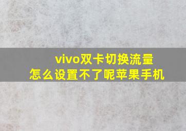 vivo双卡切换流量怎么设置不了呢苹果手机