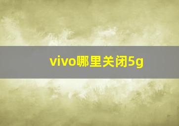 vivo哪里关闭5g