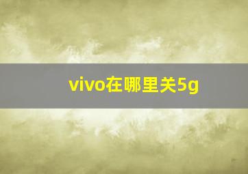 vivo在哪里关5g