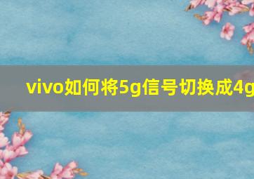 vivo如何将5g信号切换成4g