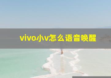 vivo小v怎么语音唤醒