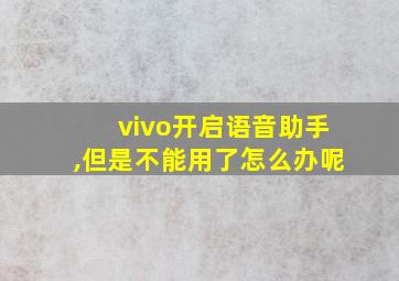 vivo开启语音助手,但是不能用了怎么办呢