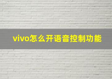 vivo怎么开语音控制功能