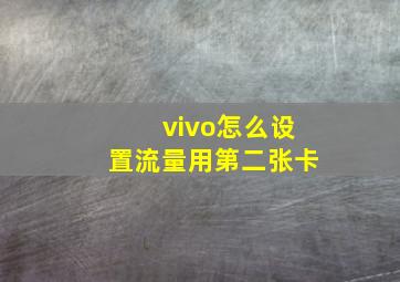 vivo怎么设置流量用第二张卡