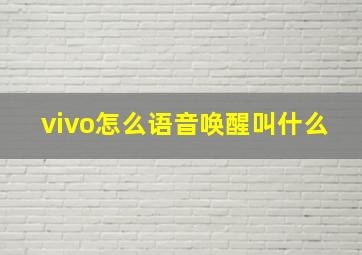 vivo怎么语音唤醒叫什么