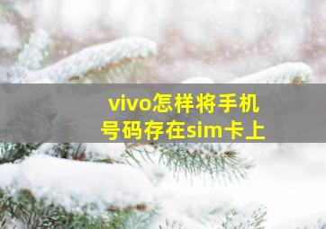 vivo怎样将手机号码存在sim卡上