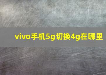 vivo手机5g切换4g在哪里