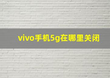 vivo手机5g在哪里关闭