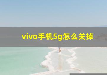 vivo手机5g怎么关掉