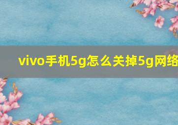 vivo手机5g怎么关掉5g网络