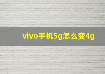 vivo手机5g怎么变4g