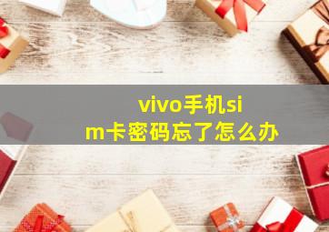 vivo手机sim卡密码忘了怎么办