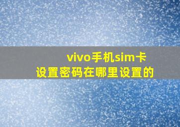 vivo手机sim卡设置密码在哪里设置的