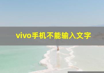 vivo手机不能输入文字