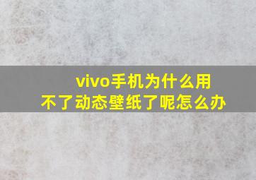 vivo手机为什么用不了动态壁纸了呢怎么办