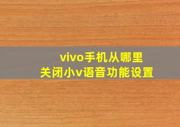 vivo手机从哪里关闭小v语音功能设置